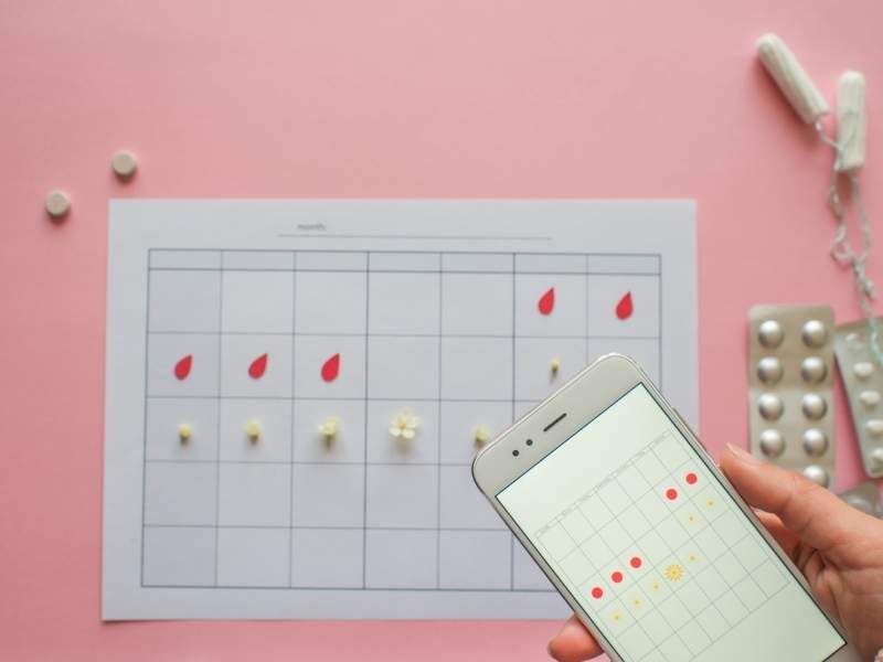 Ilustração calendário ciclo menstrual.