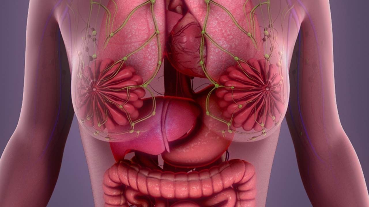 Como diferenciar glândulas mamarias de nódulos?
