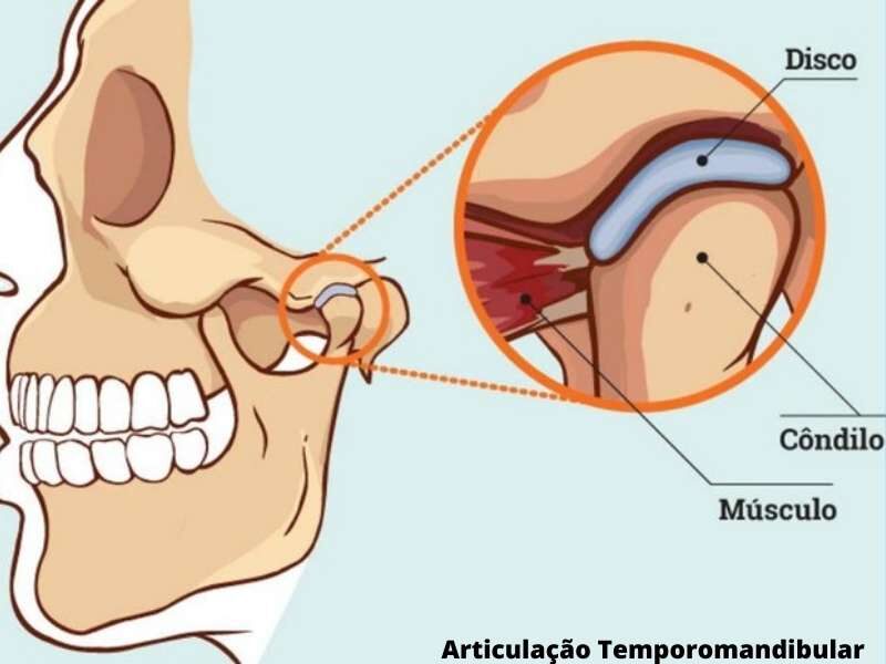 articulação temporomandibular.