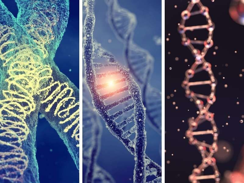 Ilustração DNA e hereditariedade.
