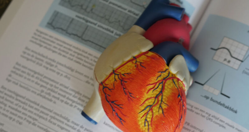 sintomas do infarto: palpitações e dores no peito