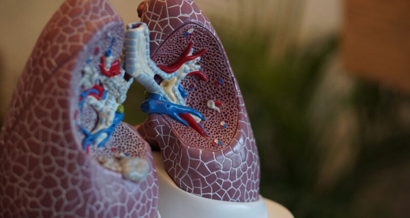 doenças pulmonares podem causar respiração ofegante e falta de ar
