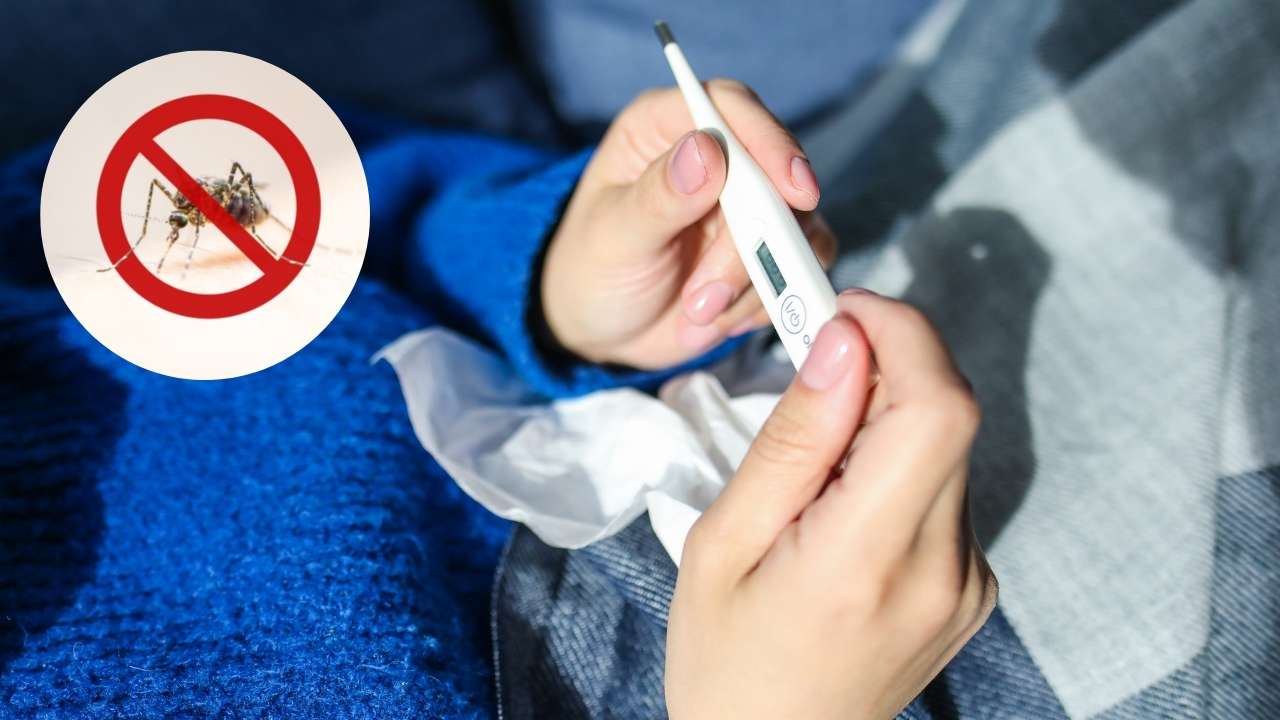 Sintomas da Dengue.
