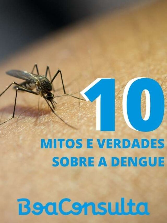 10 mitos e verdades sobre a dengue
