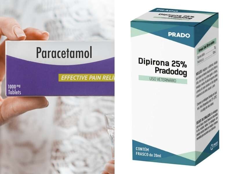 Dipirona e paracetamol.