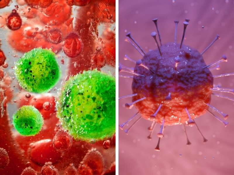 Ilustração bactéria e vírus meningite.