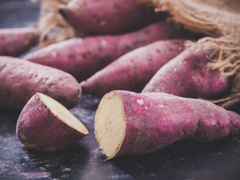 Batata doce um poderoso antioxidante.
