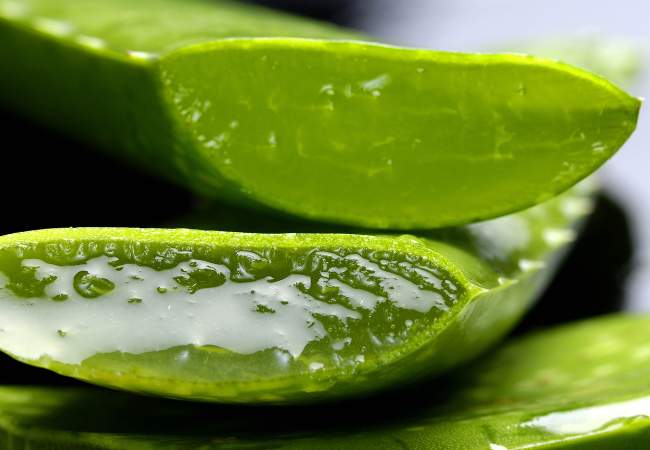 Aloe Vera contra psoríase