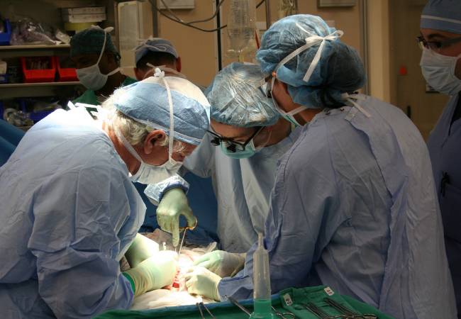 O transplante de medula, é a única possibilidade de cura da anemia falciforme