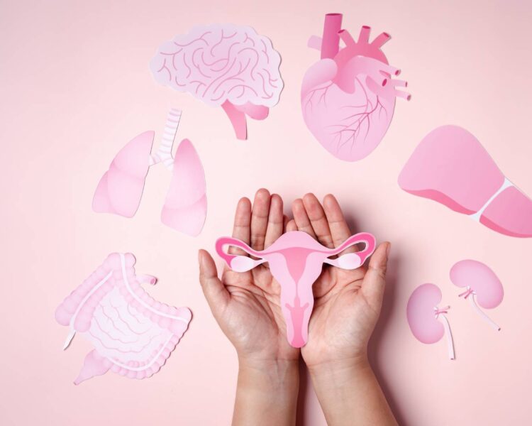 Outros alertas que rodeiam a menopausa