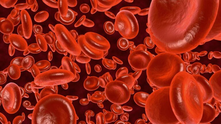 Eletroforese de hemoglobina como é realizado.